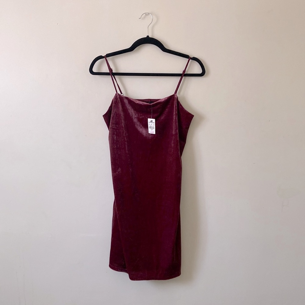 Express Burgundy Velvet Mini Dress